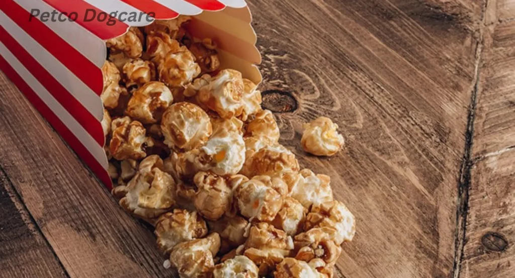 Can Dogs Eat Caramel Popcorn? Petco Dog Care