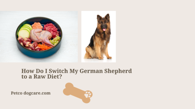 Can You Feed A German Shepherd Raw Meat Can You Feed a German Shepherd Raw Meat? Is All Raw Meat Safe for Dogs